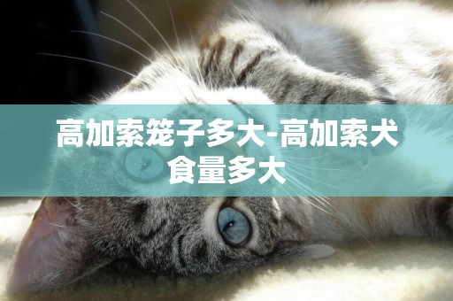 高加索籠子多大-高加索犬食量多大