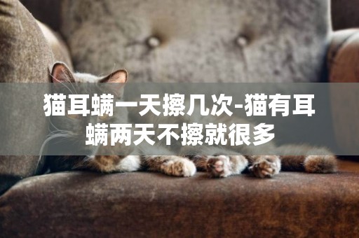 貓耳螨一天擦幾次-貓有耳螨兩天不擦就很多