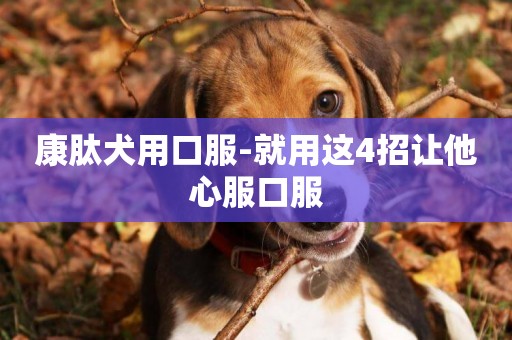 康肽犬用口服-就用這4招讓他心服口服