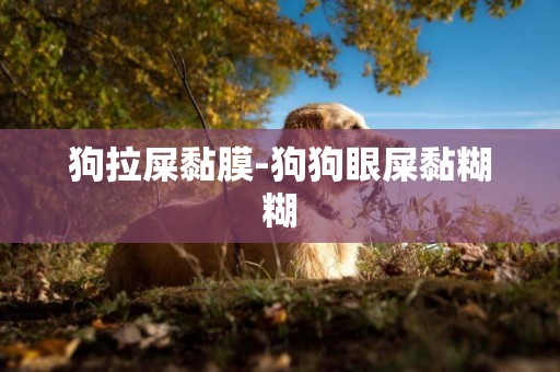 狗拉屎黏膜-狗狗眼屎黏糊糊