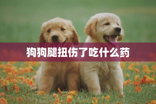 狗狗腿扭傷了吃什么藥