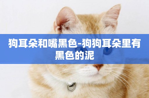 狗耳朵和嘴黑色-狗狗耳朵里有黑色的泥