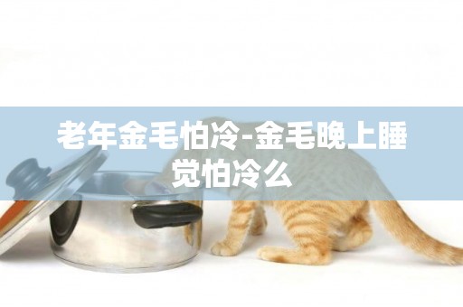 老年金毛怕冷-金毛晚上睡覺怕冷么