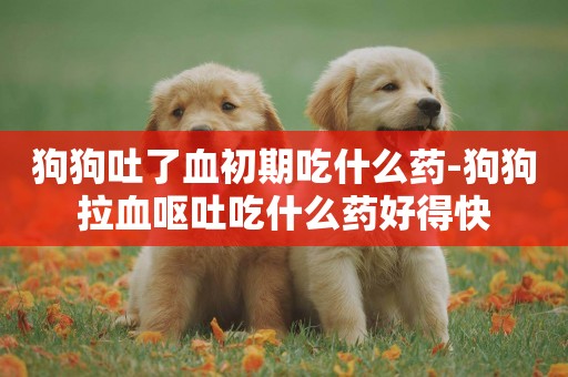 狗狗吐了血初期吃什么藥-狗狗拉血嘔吐吃什么藥好得快
