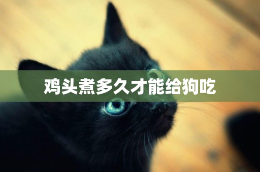 雞頭煮多久才能給狗吃