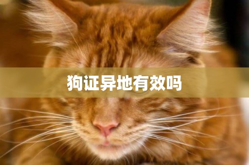 狗證異地有效嗎