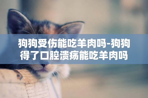狗狗受傷能吃羊肉嗎-狗狗得了口腔潰瘍能吃羊肉嗎