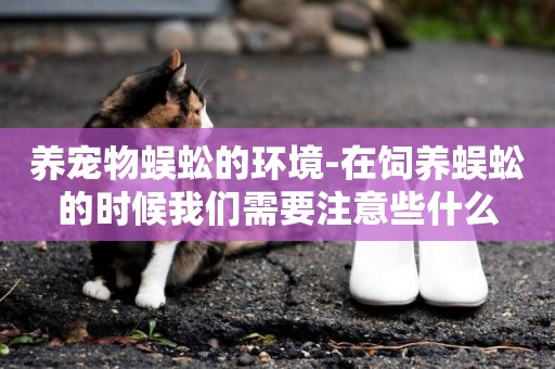 養寵物蜈蚣的環境-在飼養蜈蚣的時候我們需要注意些什么