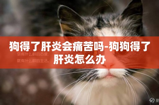 狗得了肝炎會痛苦嗎-狗狗得了肝炎怎么辦