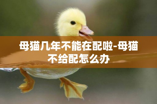 母貓幾年不能在配啦-母貓不給配怎么辦