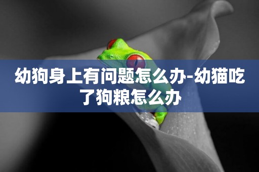 幼狗身上有問題怎么辦-幼貓吃了狗糧怎么辦
