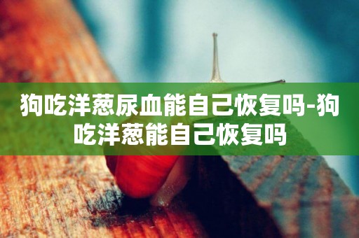 狗吃洋蔥尿血能自己恢復嗎-狗吃洋蔥能自己恢復嗎