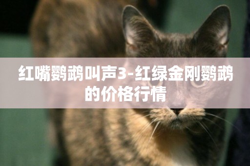 紅嘴鸚鵡叫聲3-紅綠金剛鸚鵡的價格行情