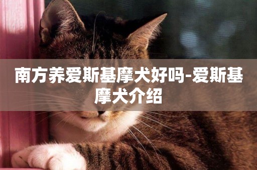 南方養愛斯基摩犬好嗎-愛斯基摩犬介紹