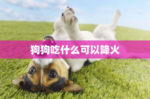 狗狗吃什么可以降火