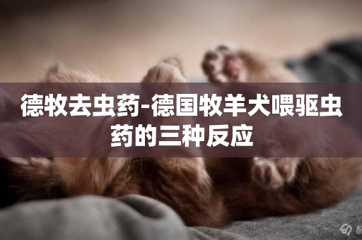 德牧去蟲藥-德國牧羊犬喂驅蟲藥的三種反應