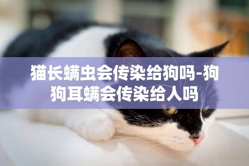 貓長螨蟲會傳染給狗嗎-狗狗耳螨會傳染給人嗎
