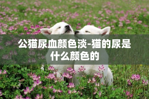 公貓尿血顏色淡-貓的尿是什么顏色的