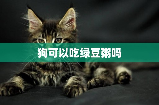 狗可以吃綠豆粥嗎