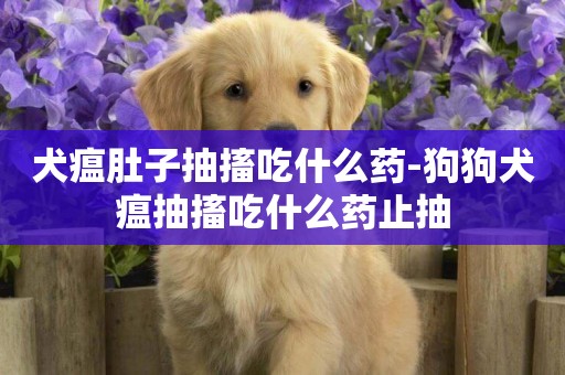 犬瘟肚子抽搐吃什么藥-狗狗犬瘟抽搐吃什么藥止抽