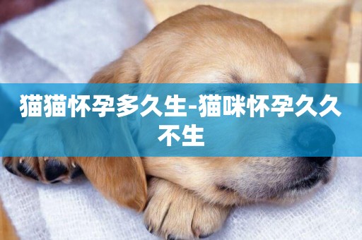 貓貓懷孕多久生-貓咪懷孕久久不生