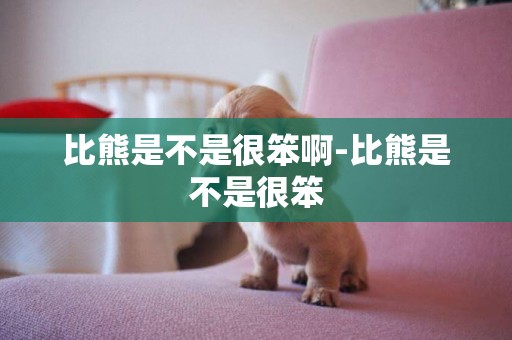 比熊是不是很笨啊-比熊是不是很笨