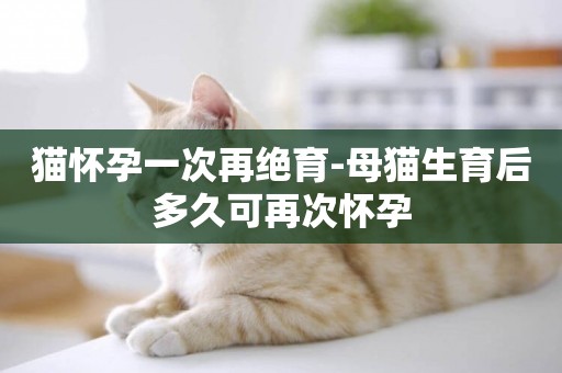 貓懷孕一次再絕育-母貓生育后多久可再次懷孕