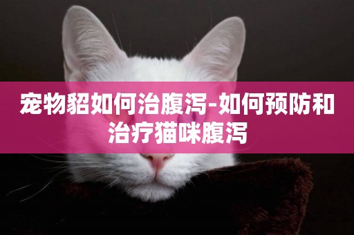 寵物貂如何治腹瀉-如何預防和治療貓咪腹瀉