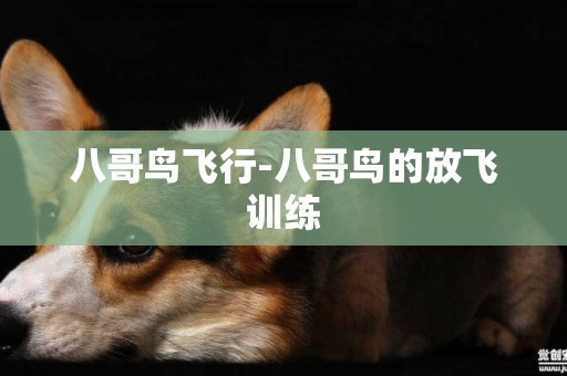 八哥鳥飛行-八哥鳥的放飛訓練