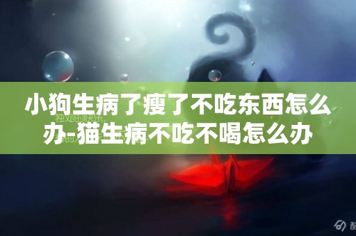 小狗生病了瘦了不吃東西怎么辦-貓生病不吃不喝怎么辦