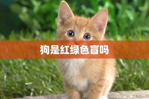 狗是紅綠色盲嗎