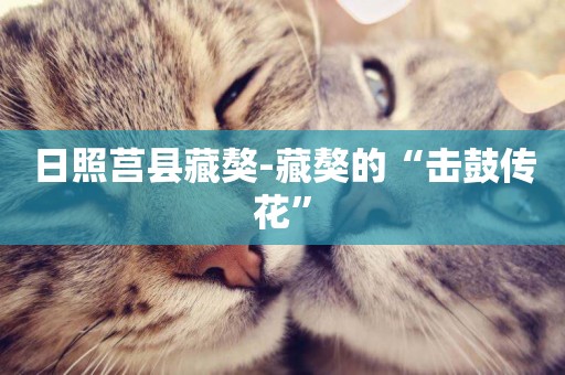 日照莒縣藏獒-藏獒的“擊鼓傳花”