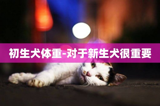 初生犬體重-對于新生犬很重要