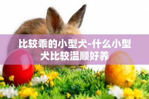 比較乖的小型犬-什么小型犬比較溫順好養