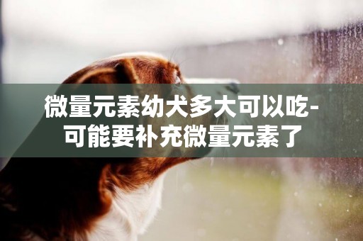 微量元素幼犬多大可以吃-可能要補充微量元素了