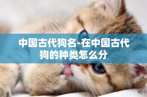中國古代狗名-在中國古代狗的種類怎么分