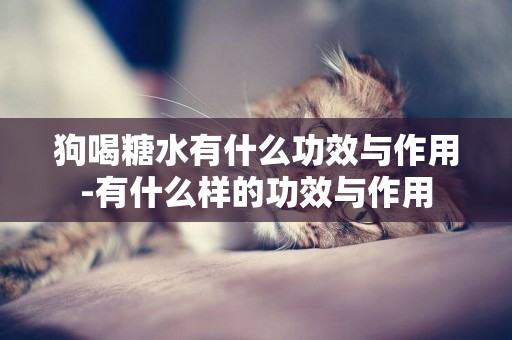 狗喝糖水有什么功效與作用-有什么樣的功效與作用
