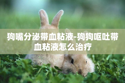 狗嘴分泌帶血粘液-狗狗嘔吐帶血粘液怎么治療