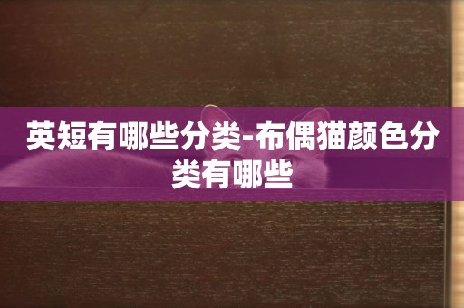 英短有哪些分類-布偶貓顏色分類有哪些