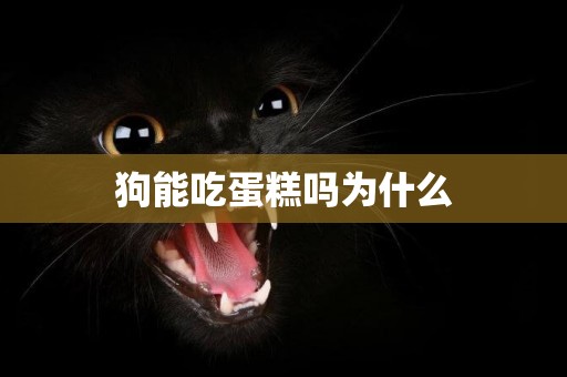 狗能吃蛋糕嗎為什么