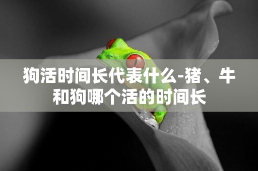 狗活時間長代表什么-豬、牛和狗哪個活的時間長