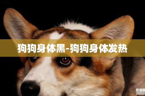 狗狗身體黑-狗狗身體發熱