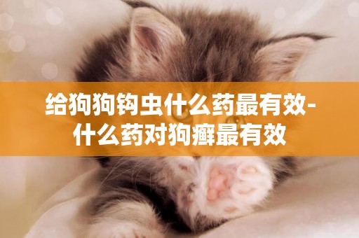 給狗狗鉤蟲什么藥最有效-什么藥對狗癬最有效