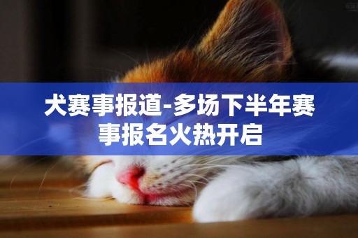 犬賽事報道-多場下半年賽事報名火熱開啟
