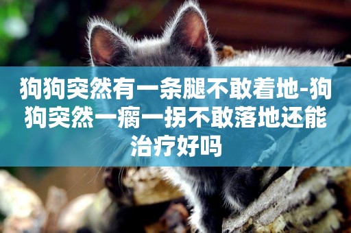 狗狗突然有一條腿不敢著地-狗狗突然一瘸一拐不敢落地還能治療好嗎
