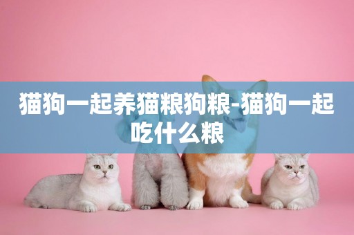 貓狗一起養貓糧狗糧-貓狗一起吃什么糧