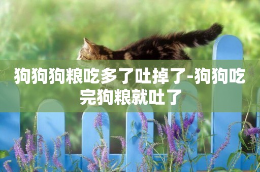 狗狗狗糧吃多了吐掉了-狗狗吃完狗糧就吐了