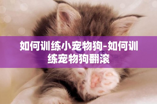如何訓練小寵物狗-如何訓練寵物狗翻滾