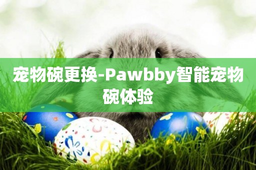寵物碗更換-Pawbby智能寵物碗體驗