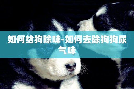 如何給狗除味-如何去除狗狗尿氣味